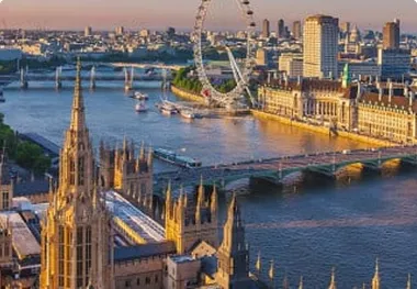 A bird sitting on a nest of eggs.