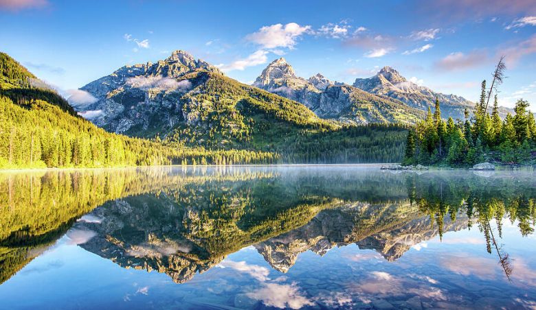 US-LLC in Wyoming gründen: Vor- & Nachteile und Kosten