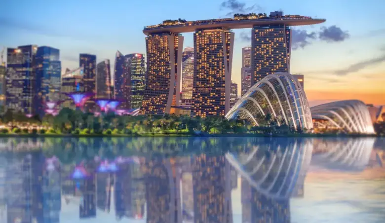 GmbH vs. Pte. Ltd. Vollständiger Vergleich